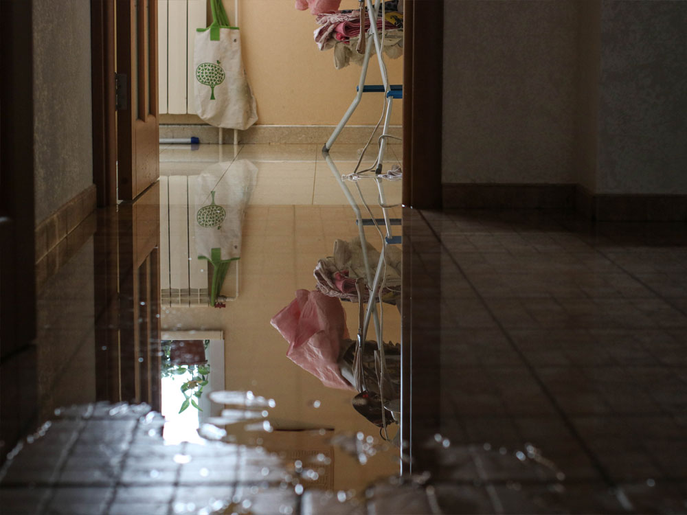 Lionheart Cleaning flood damage