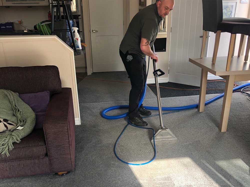 Lionheart Cleaning carpet shampoo